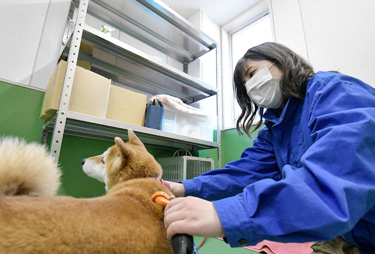 動物飼養スタッフ　寺坂さん